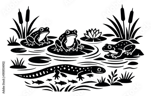 Monochrome graphic illustration of a pond scene depicting frogs, a salamander, and fish in their natural habitat for wildlife themes