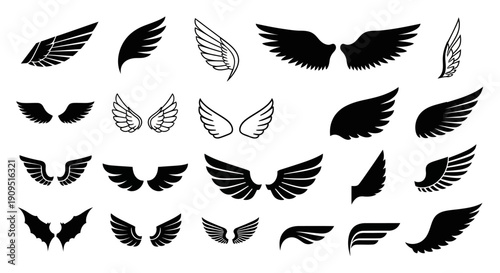 Collection of various wing designs and illustrations in different styles and orientations on a clean background