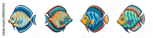 Vibrant Discus Fish Set in Flat Design Style vector illustration