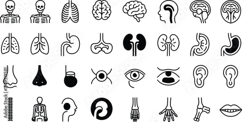 Human anatomy line icons set, black outline body organs and skeleton collection, medical healthcare vector symbols, internal organ illustration isolated on white background