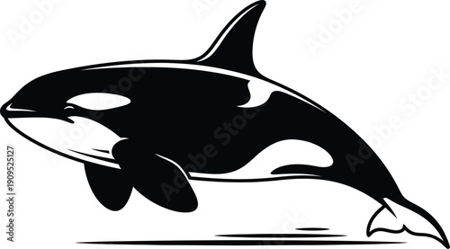 Black and white illustration of an orca whale jumping, stylized graphic design