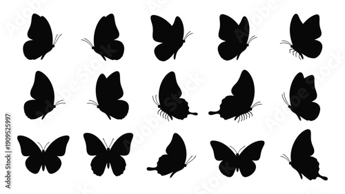 A collection of various butterfly silhouettes in different poses and orientations. isolated on white background, Vector