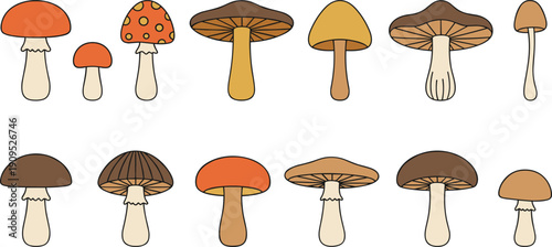 Set of twelve diverse mushroom specimens with various cap shapes and earthy autumn colors in flat vector style
