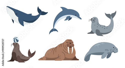 Diverse marine mammals including whales, dolphins, and seals displayed together in a simple graphic illustration