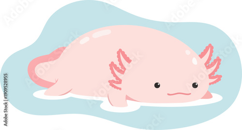 Cute pink axolotl lying on blue watery background simple flat cartoon style animal illustration with small legs and external gills adorable aquatic amphibian