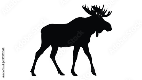 Silhouette of a majestic moose walking gracefully in a natural setting isolated on white background, Vector