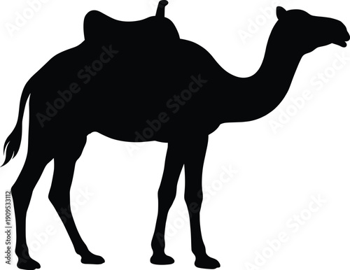 Black Silhouette of Camel with Saddle Isolated on White Background for Middle East Desert Travel Safari and Arabic Cultural Heritage Vector Illustration Design