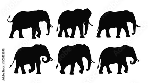 Six elephants silhouettes showcasing different poses and sizes in a row. isolated on white background, Vector