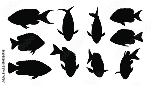 A diverse collection of fish silhouettes showcasing various shapes and sizes. isolated on white background, Vector