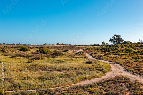 A natural coastal wetland in the small town of Laaiplek formed from historical flooding of the Berg River on the Western Cape, South Africa