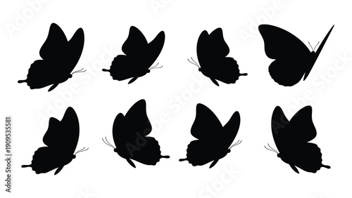 A collection of eight silhouetted butterflies in various poses and orientations isolated on white background, Vector