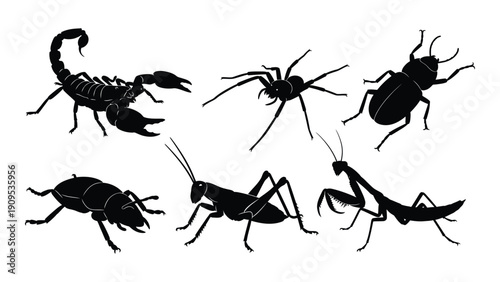 Illustration of various insects and arachnids in black silhouette style isolated on white background, Vector