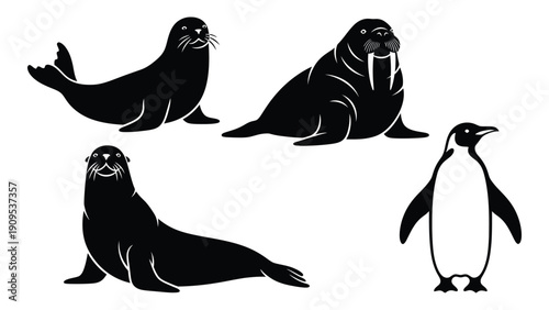 A diverse group of aquatic animals including seals and a penguin isolated on white background, Vector