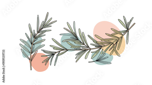 Delicate rosemary sprigs with soft pastel colored shapes in the background for a modern botanical art aesthetic.