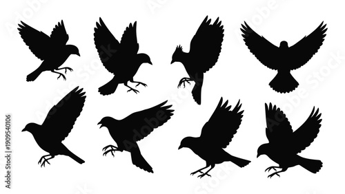 A collection of eight black silhouettes of birds in various flight positions. isolated on white background, Vector