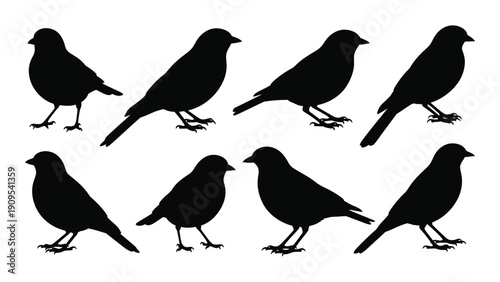 Eight black silhouettes of birds in various poses on a white background isolated on white background, Vector