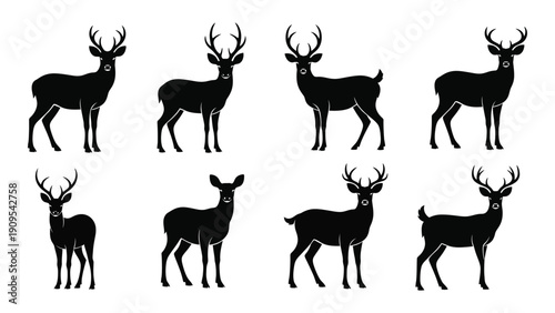 Eight black silhouettes of deer in various poses and sizes isolated on white background, Vector