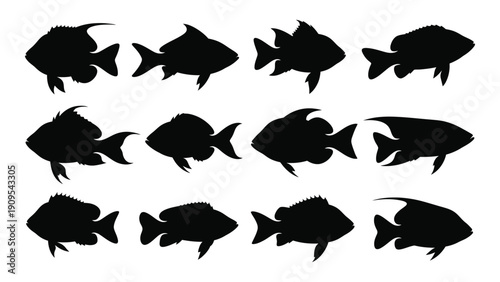 A collection of various fish silhouettes arranged in a grid pattern isolated on white background, Vector