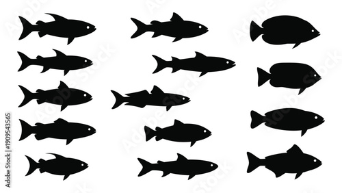A collection of twelve different black silhouettes of fish in various shapes and sizes isolated on white background, Vector