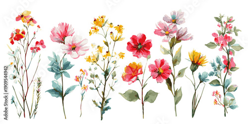 Collection of delicate watercolor floral illustrations in warm earthy tones isolated on white background
