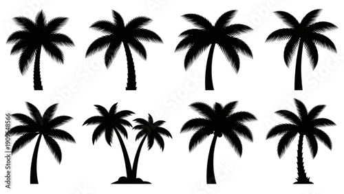 Collection of various palm tree silhouettes against a clear background viewed from the side