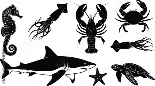 Marine sea animal silhouette set shark squid lobster crab turtle ocean wildlife vector – flavector