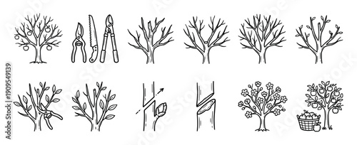 Hand-drawn fruit tree care and gardening icons showing pruning, grafting, blossoming, and harvesting apples, with tools like secateurs and a saw in a simple line art doodle style