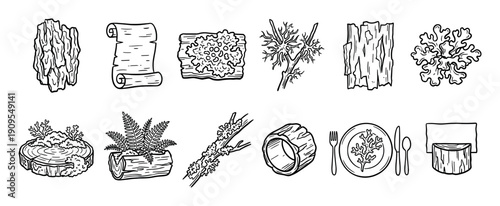 Set of black and white line art illustrations depicting various forest elements like tree bark, moss, lichen, wood stumps, and rustic eco-friendly dining decor