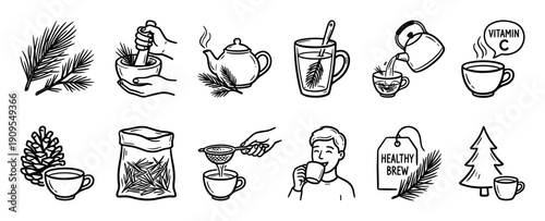 Hand-drawn pine needle tea making icons set showing the brewing process from branch to cup, illustrating a healthy herbal vitamin C drink in a simple black and white doodle style