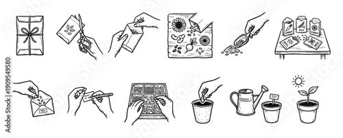 Hand-drawn seed planting instruction icon set shows the process of growing plants from packets, sorting seeds, sowing in pots, watering, and sprouting, a black and white sketch illustration