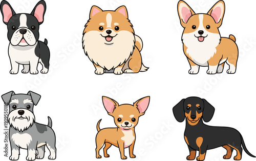 Cute Small Dog Breed Cartoon Vector Set with French Bulldog Pomeranian Corgi Schnauzer Chihuahua and Dachshund for Pet Illustration