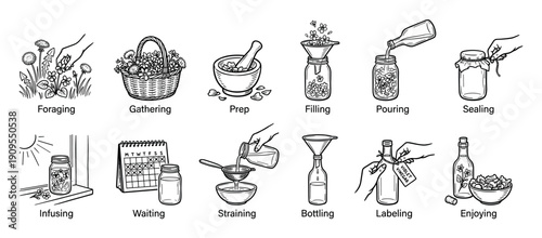 Black and white line art illustration set showing the step-by-step process of making homemade herbal vinegar, from foraging flowers to bottling the final infused product