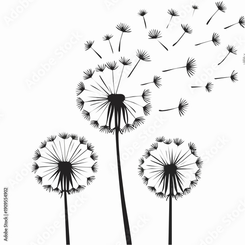 Dandelions with flying seeds, fluffy dandelion flower silhouettes. Spring season blooming blowball flowers doodles vector illustration. 