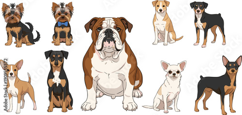 Different Dog Breeds Cartoon Vector Set with Bulldog Terrier Chihuahua and Mixed Puppies for Pet Illustration Collection