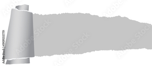 A torn piece of paper with a white background. Horizontal torn paper edge. Ripped squared horizontal Grey paper strip, vector illustration.