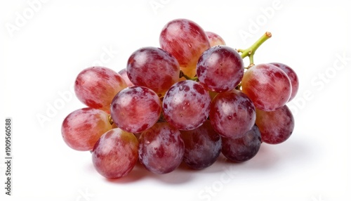 Harvesting fresh grapes vineyard food photography natural setting close-up view culinary delights