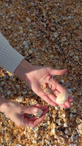 Woman holding seashells on sandy beach made of crushed shells