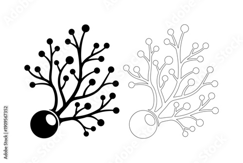 Abstract organic branching structure with circular elements, available in solid and outline.