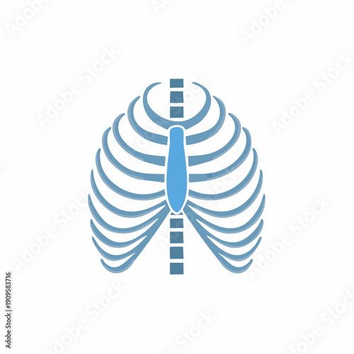 Illustration of a stylized human rib cage in blue and gray
