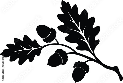 Leaves oak branch with acorn silhouette vector