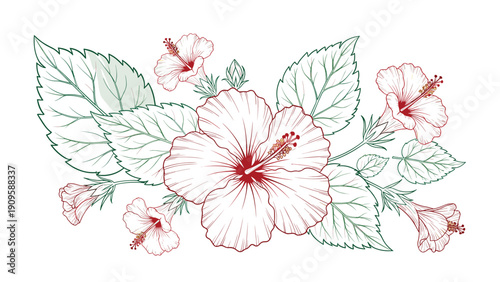 Elegant line art arrangement of hibiscus flowers and leaves provides a classic botanical illustration for decorative purposes.