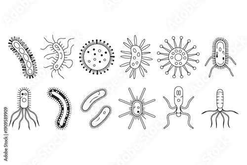 Minimalist vector line icons of viruses and bacteria for pharmaceutical branding and medical technology