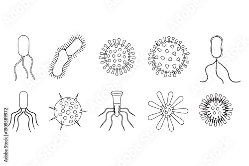 Set of black and white line art drawings illustrating various bacteria and viruses on white background