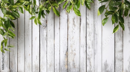 Green leaves arranged atop vertical white wooden planks with rustic distressed paint showing visible brush strokes and s