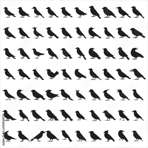 Canary Bird Silhouette Svg Clipart