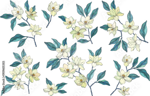 Elegant vector illustration set of magnolia flower branches with blooming flowers and lush leaves. Hand-drawn botanical style with soft pastel tones creates a refined natural look.