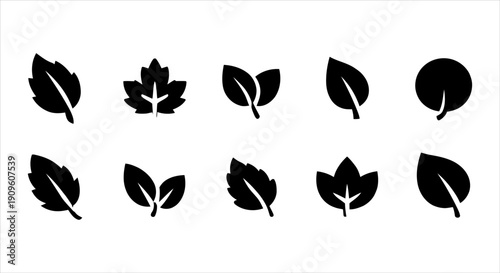 Collection of diverse black leaf icons, symbolizing nature, ecology, and organic design elements