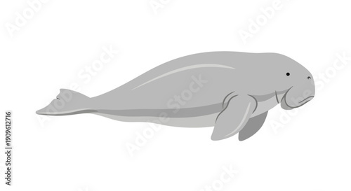 Illustration of a gray manatee swimming in water with a calm expression.