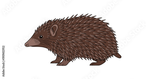 Illustration of a brown hedgehog with spiky quills standing on white background.