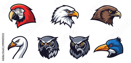 Birds collection illustrations eagles owls parrots and other avian species